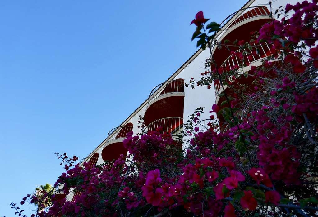 Golden Sails Hotel Long Beach Servizi foto