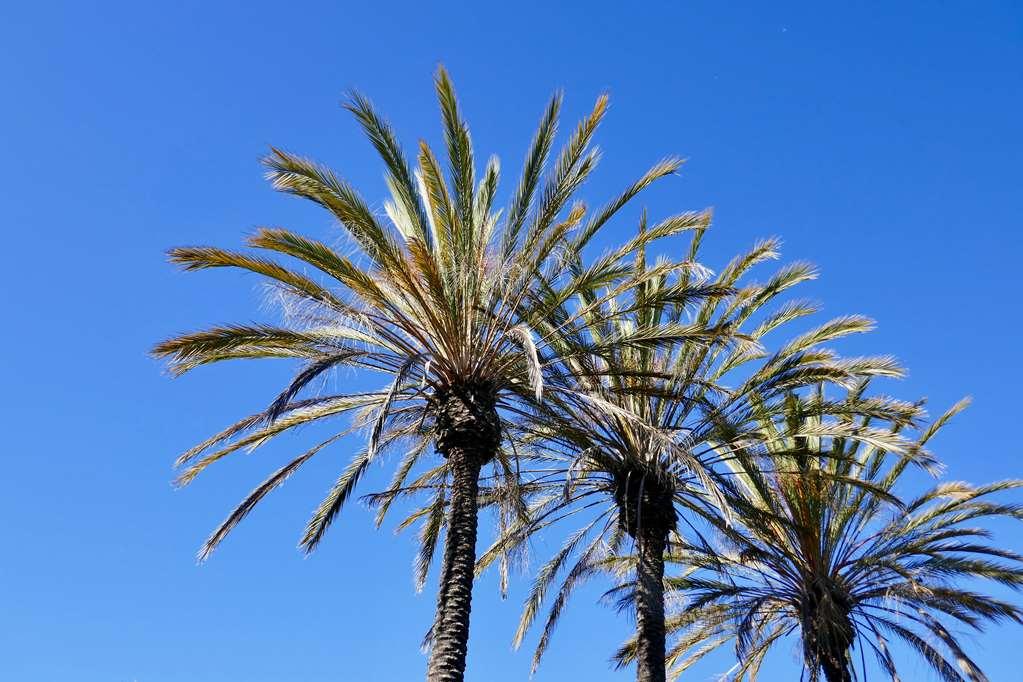 Golden Sails Hotel Long Beach Servizi foto