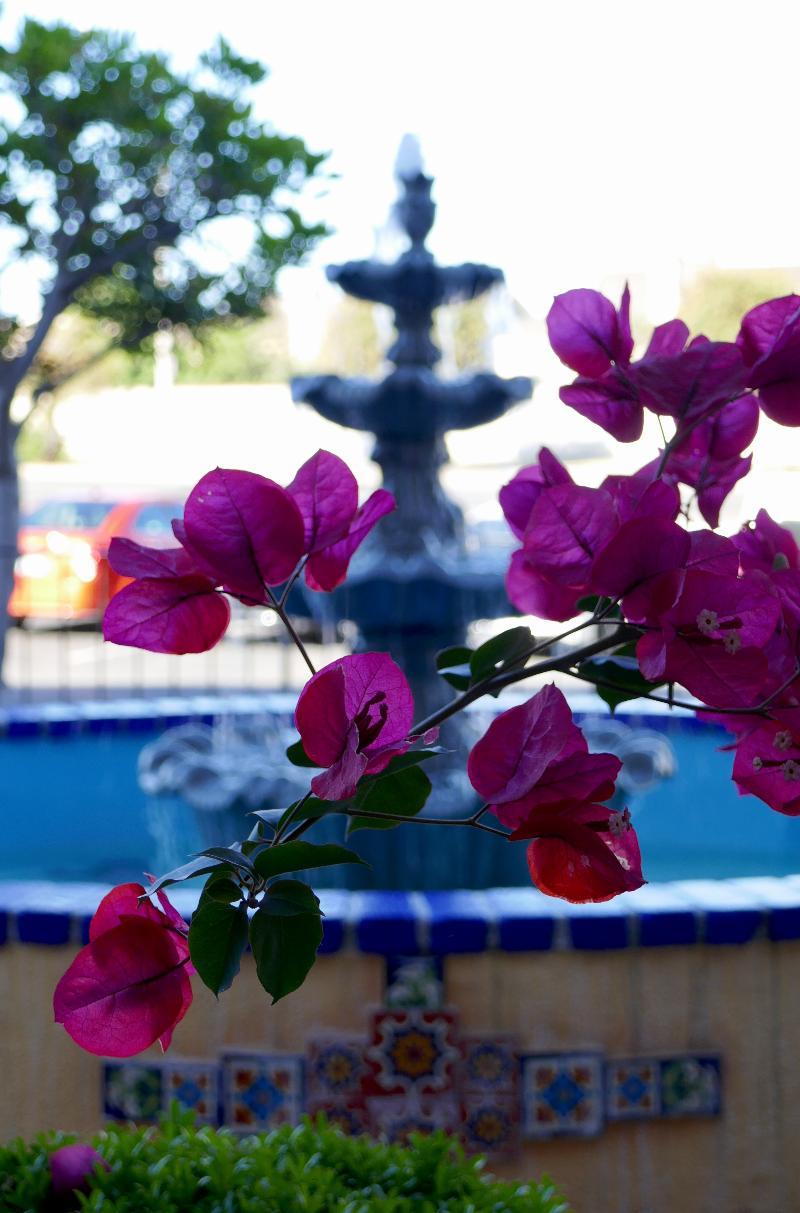 Golden Sails Hotel Long Beach Esterno foto